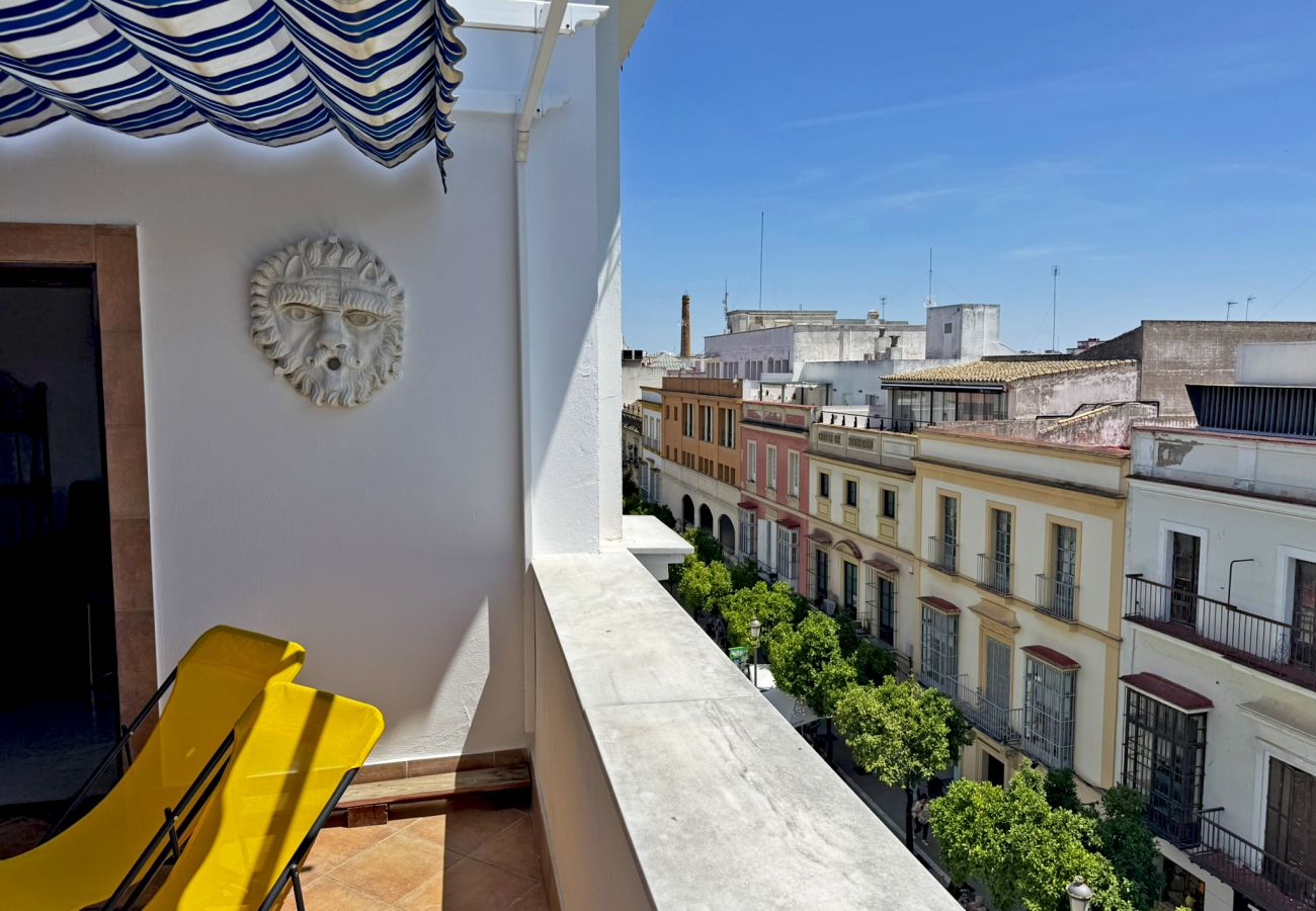 Apartamento en Jerez de la Frontera - Larga Suite 46