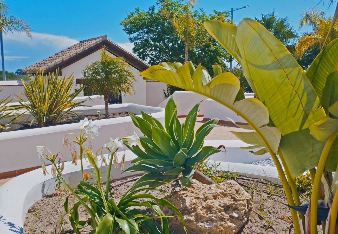 Apartamento en Rota - Apartamento Brisa Candor