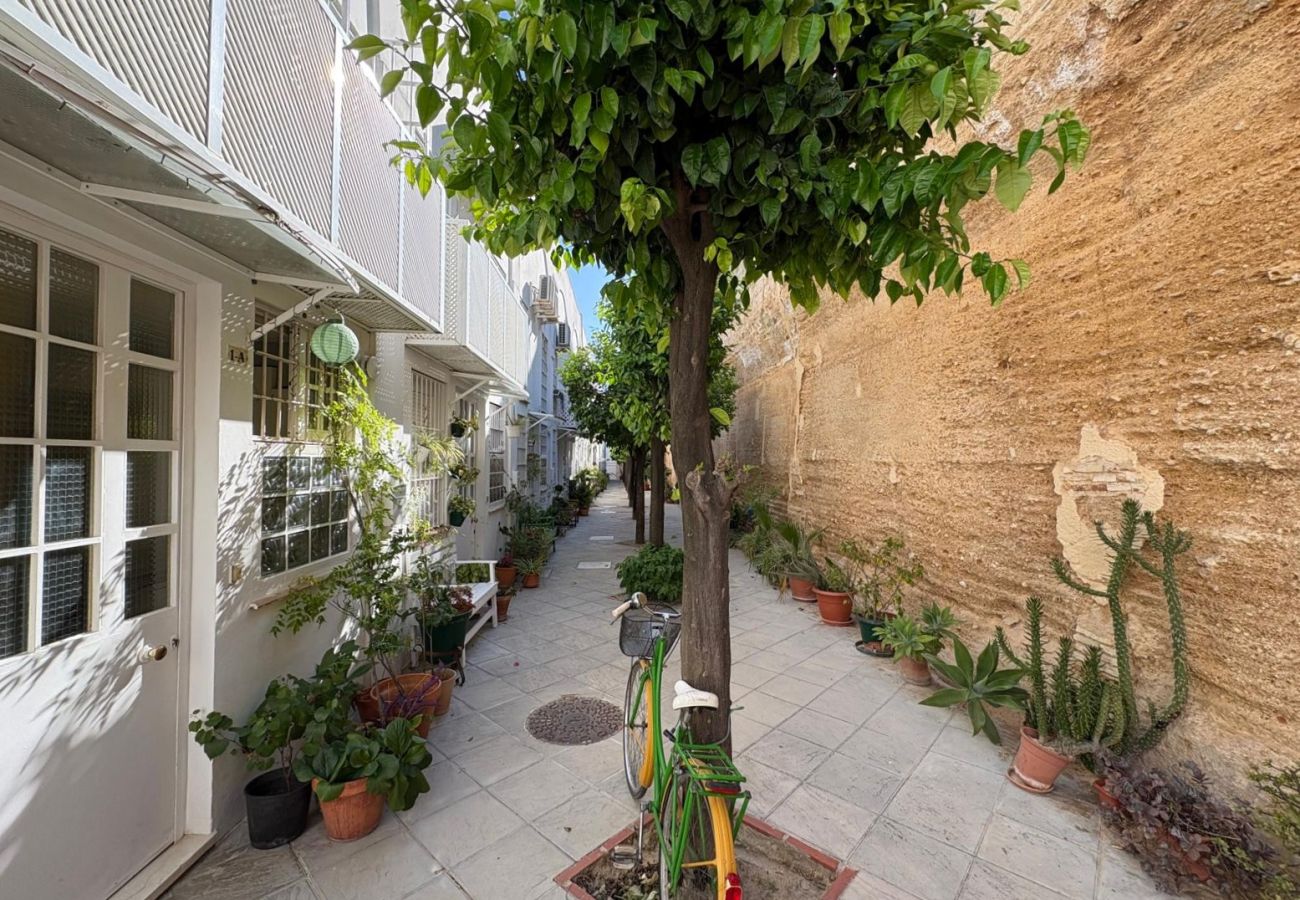 Apartamento en Jerez de la Frontera - Apartamento La Muralla