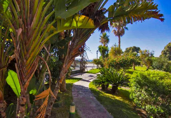 Apartment in Zahara de los Atunes - Zahara Paradise Apartment in Zahara de los Atunes - Zahara Paradise