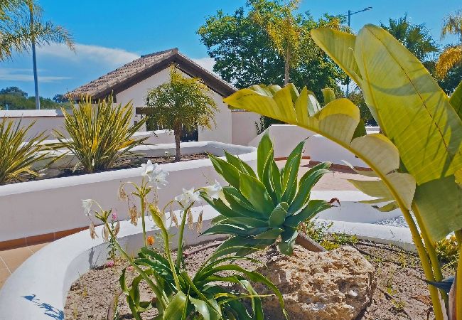 Apartment in Rota - Apartamento Dunas Candor Apartment in Rota - Apartamento Dunas Candor