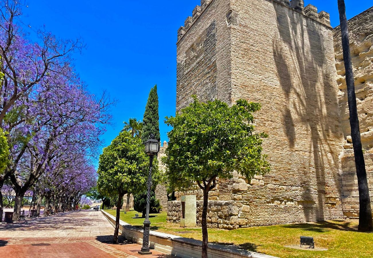 Apartment in Jerez de la Frontera - Apartamento Tío Pepe