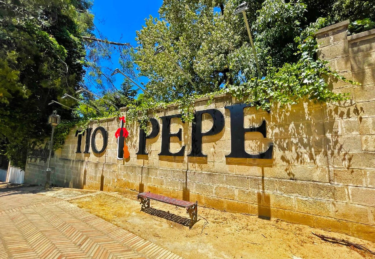 Apartment in Jerez de la Frontera - Apartamento Tío Pepe