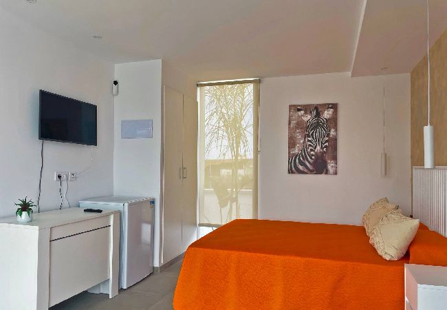 Apartment in Conil de la Frontera - Apartamento Klandestina Apartment in Conil de la Frontera - Apartamento Klandestina