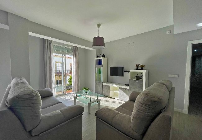 Apartment in Jerez de la Frontera - Apartamento La Catedral Apartment in Jerez de la Frontera - Apartamento La Catedral
