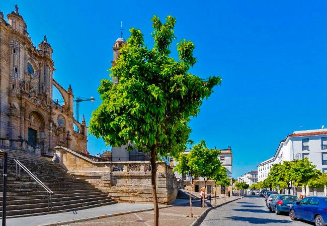 Apartment in Jerez de la Frontera - La Torre de la Catedral Apartment in Jerez de la Frontera - La Torre de la Catedral