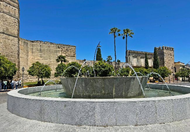 Apartment in Jerez de la Frontera - Apartamento El Tabanco Apartment in Jerez de la Frontera - Apartamento El Tabanco