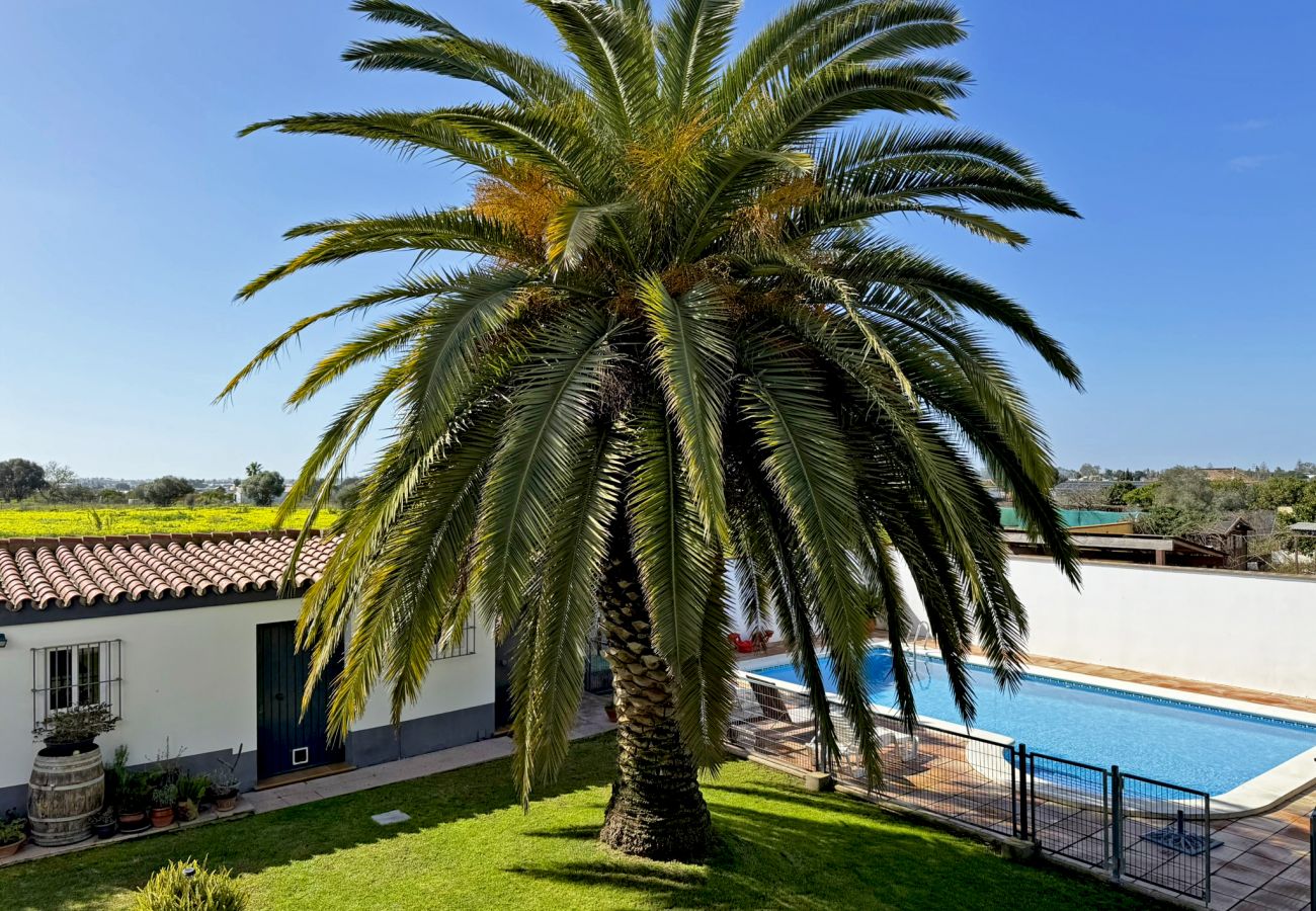 Villa in Sanlúcar de Barrameda - Villa Al Alba