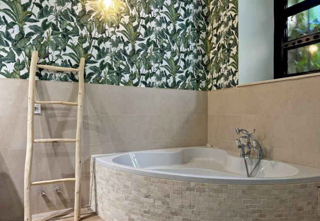 House in Jerez de la Frontera - La Bodeguita House in Jerez de la Frontera - La Bodeguita