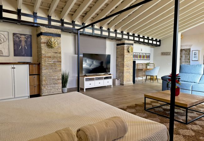 House in Jerez de la Frontera - La Bodeguita House in Jerez de la Frontera - La Bodeguita