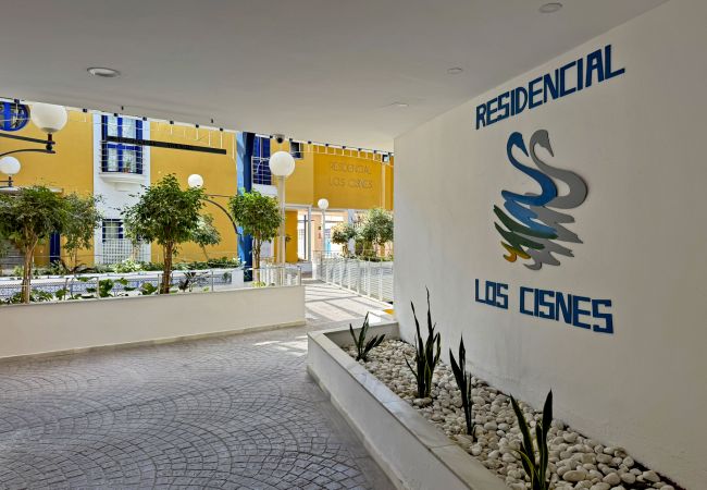 Apartment in Jerez de la Frontera - Larga Suite 46 Apartment in Jerez de la Frontera - Larga Suite 46