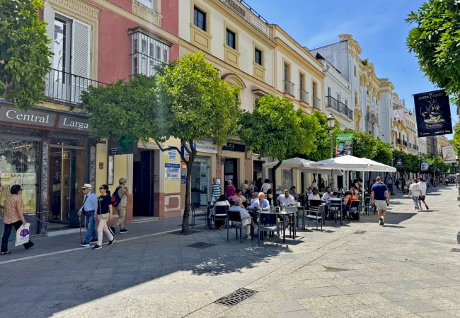 Apartment in Jerez de la Frontera - Larga Suite 46 Apartment in Jerez de la Frontera - Larga Suite 46
