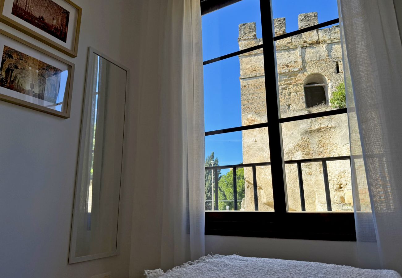 Apartment in Jerez de la Frontera - Apartamento Antique Muralla