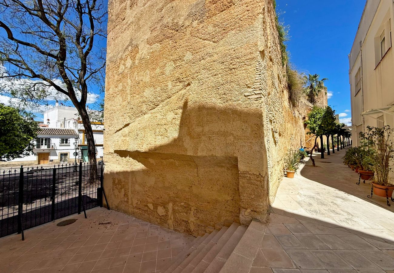 Apartment in Jerez de la Frontera - Apartamento La Muralla