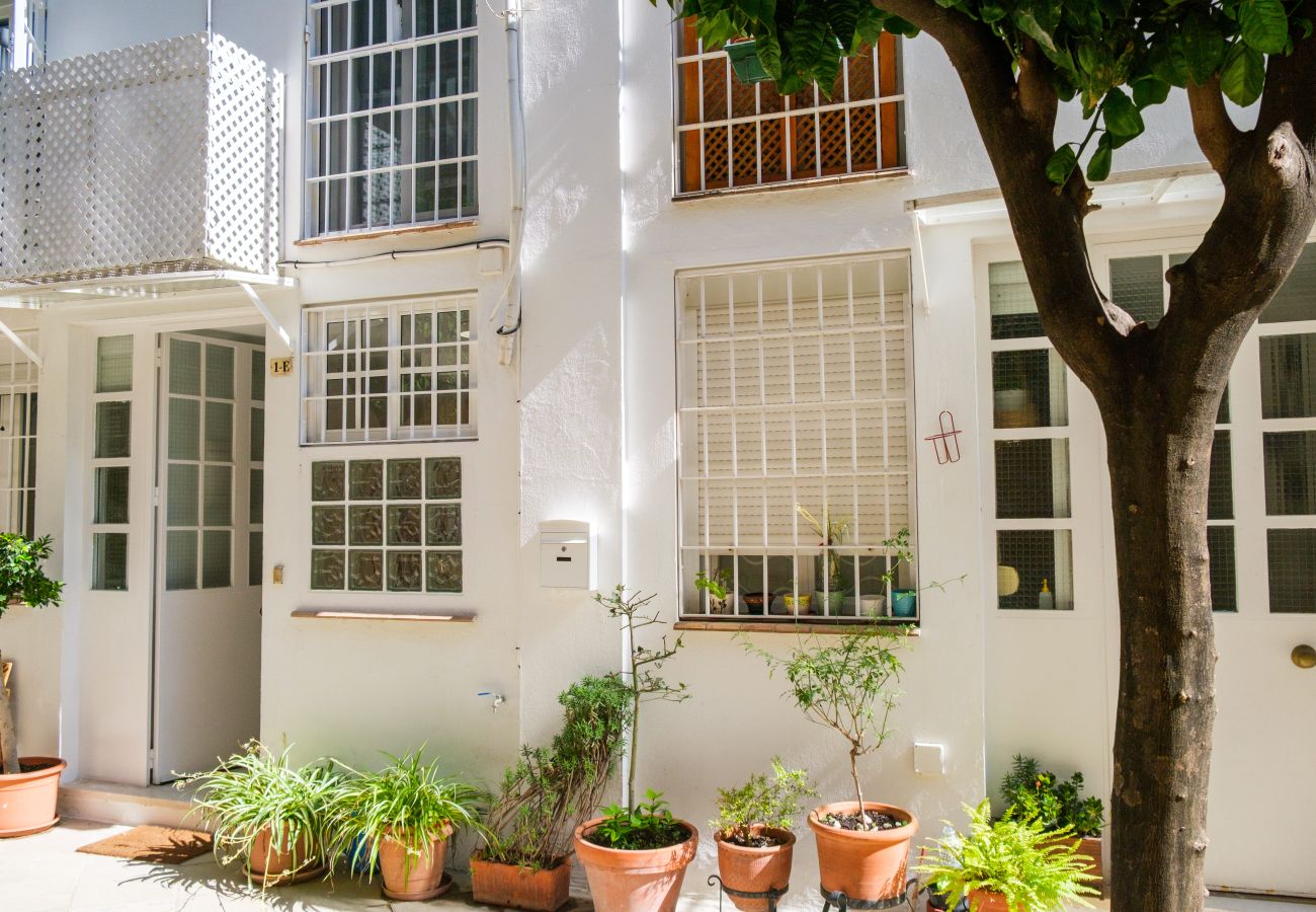 Apartment in Jerez de la Frontera - Apartamento La Muralla